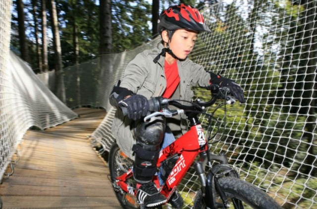  Renta de bicicletas de cerro y cursos extremos 